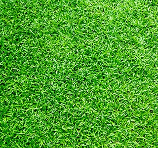 Artificial Grass