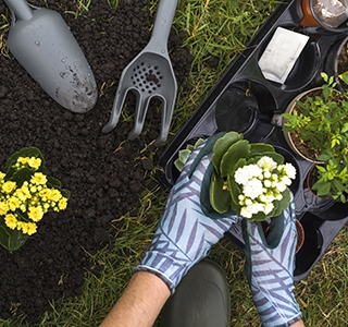 Garden care