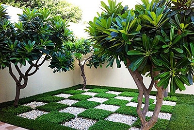 Gardening project 3