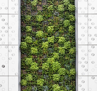 Vertical Garden